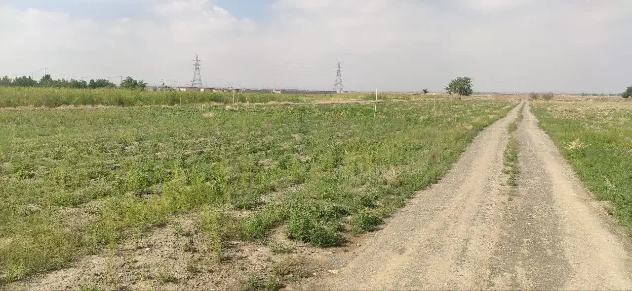 زمین فروشی گلمکان|فروش زمین و ملک کلنگی|گلمکان, |دیوار