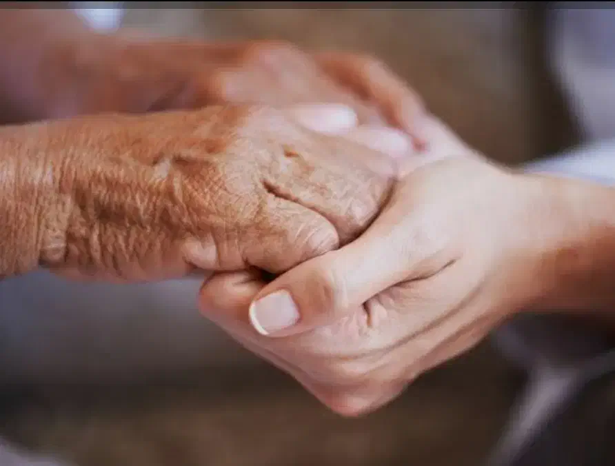 شرکت خدماتی نظافتی مراقبتی ، سالمند و کودک|خدمات نظافت|شیراز, فرگاز|دیوار