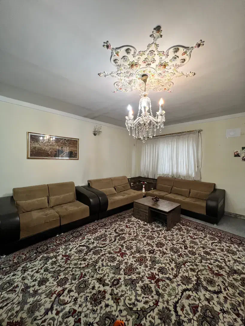 مبل|مبلمان خانگی و میز عسلی|رشت, کاکتوس|دیوار