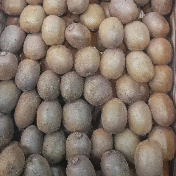 کیوی ترش و خوشمزه|خوردنی و آشامیدنی|رشت, رودباری|دیوار