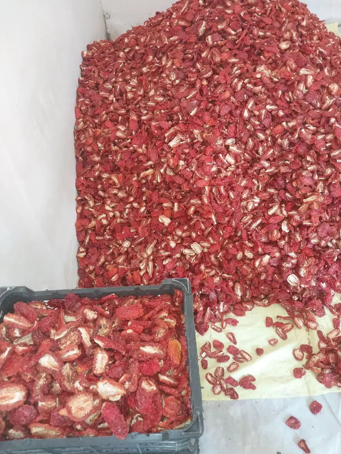 گوجه خشک دوقارچ خورشیدی|خوردنی و آشامیدنی|بکتاش, |دیوار