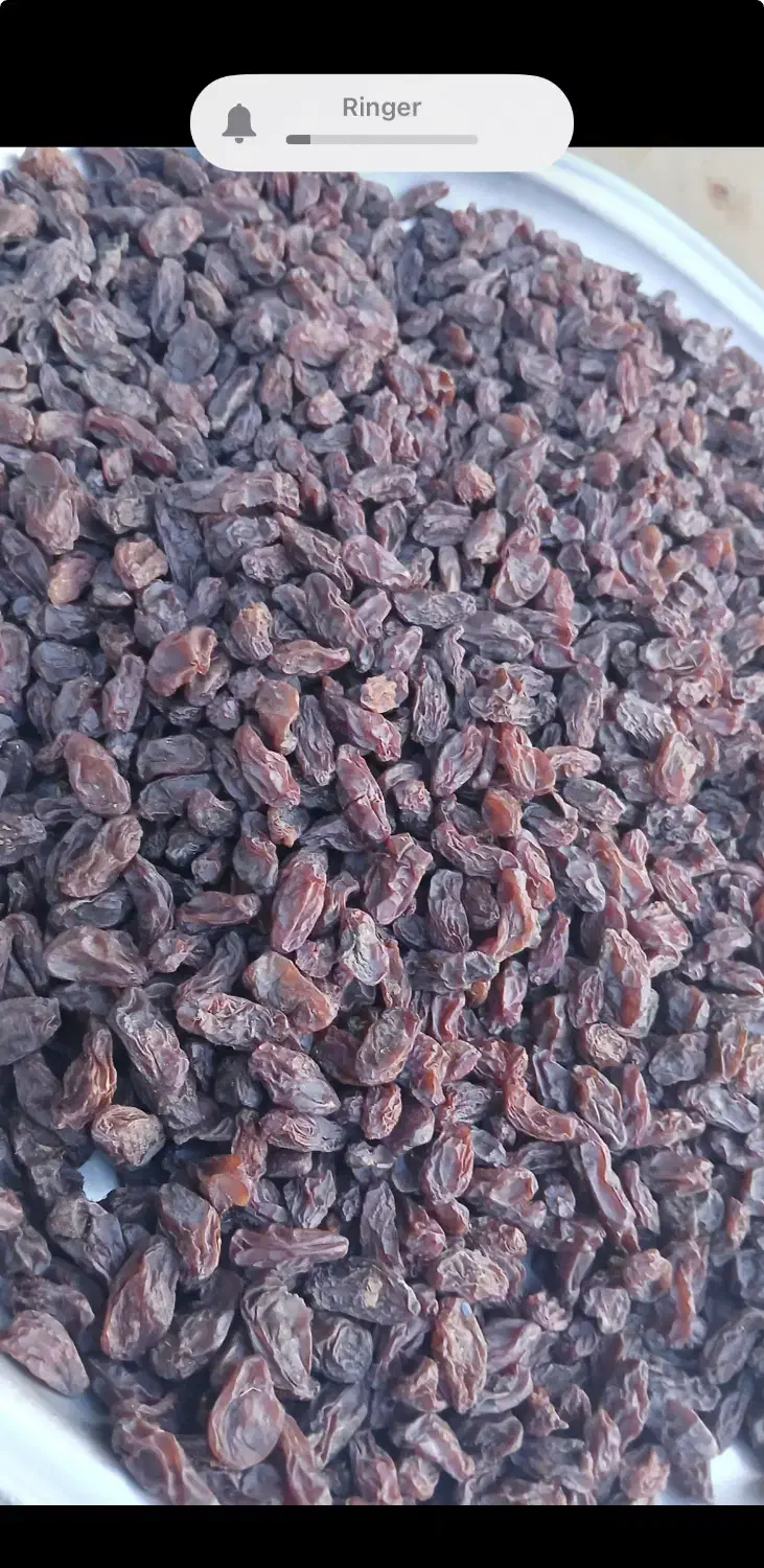 مویز فخری سوپر|خوردنی و آشامیدنی|شیراز, شهرک گلستان|دیوار