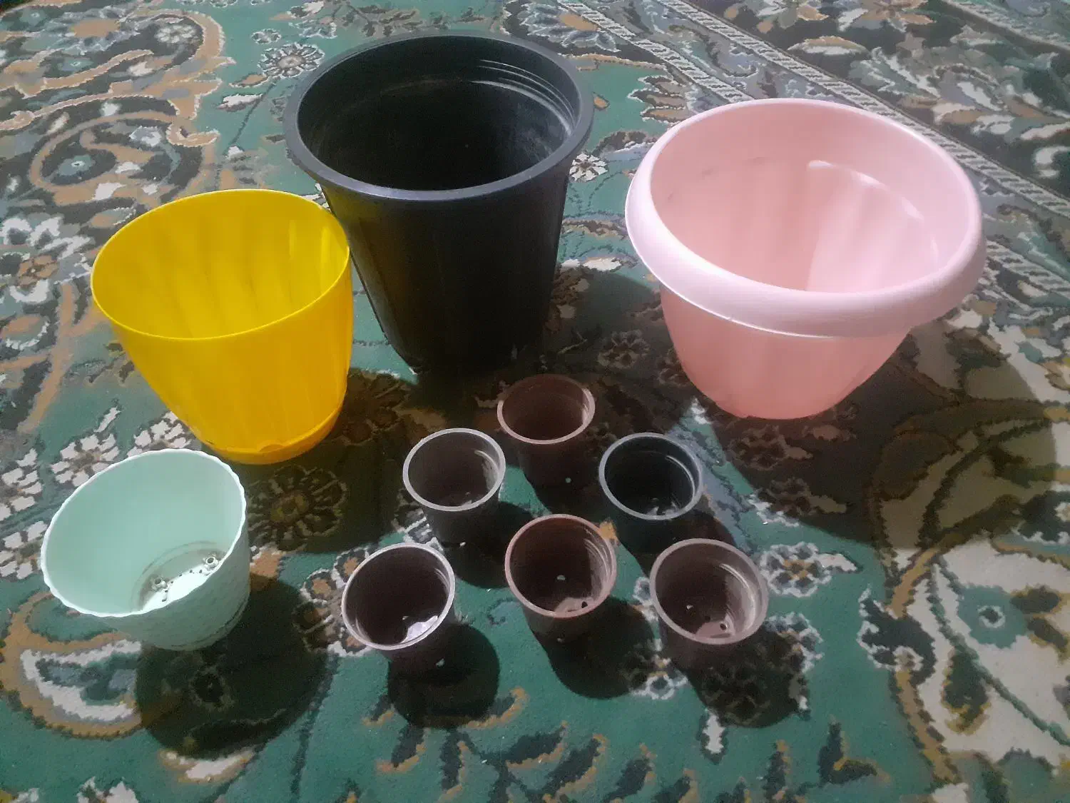 گلدان پلاستیکی . همشون 100ت|گل و گیاه طبیعی|تربت‌حیدریه, مظفریه|دیوار