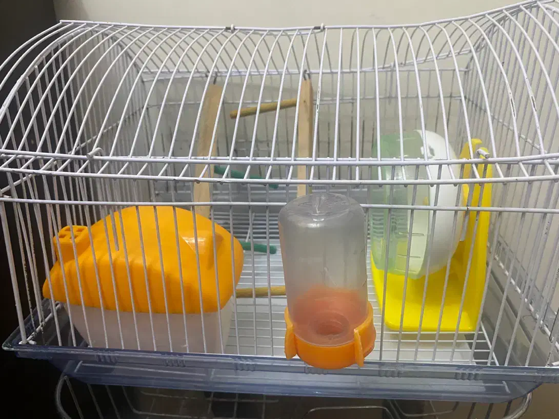 قفس همستر به همراه لوازم جانبی|لوازم جانبی حیوانات|تهران, حشمتیه|دیوار