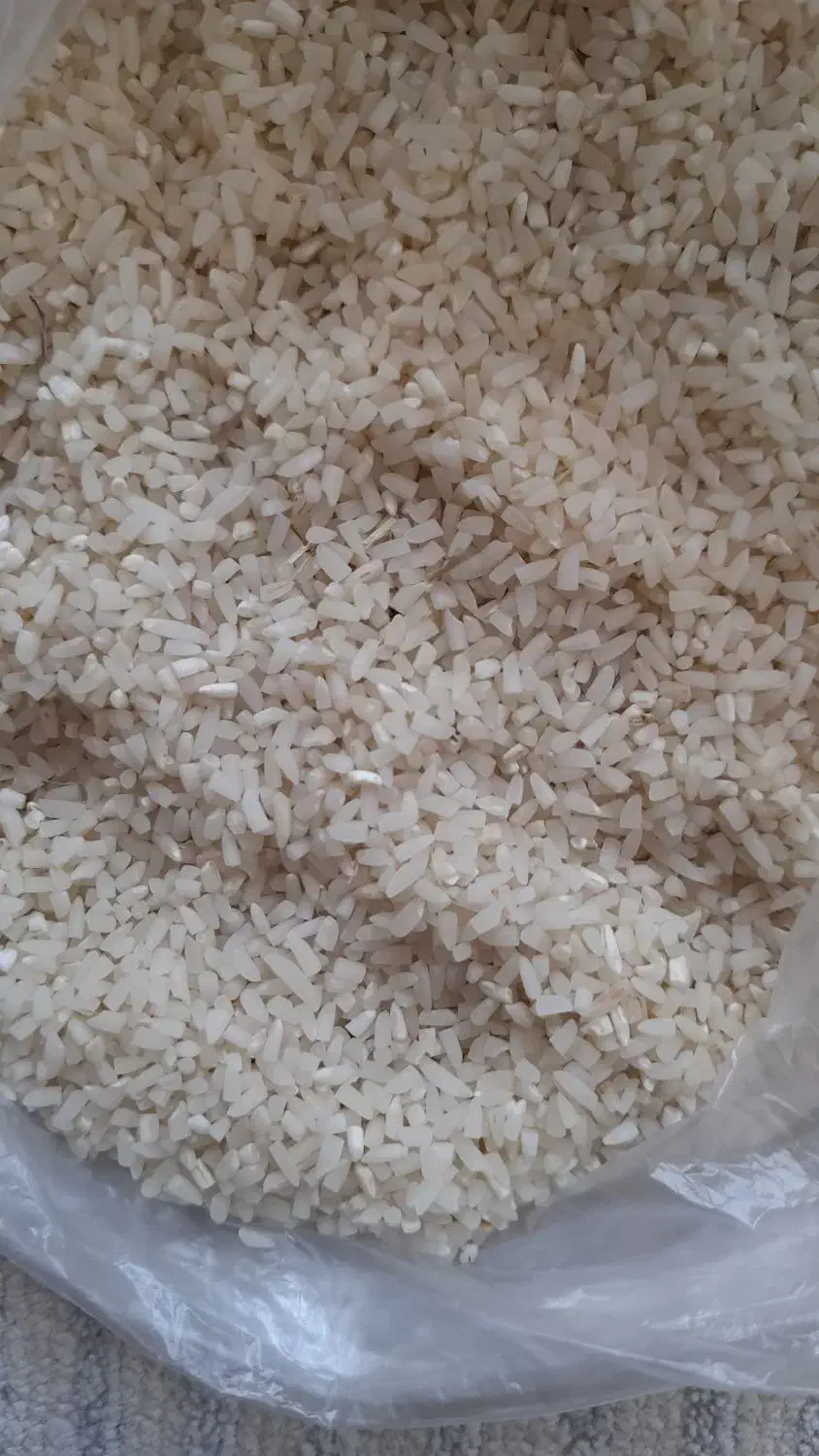 برنج درجه یک هاشمی و لاشه و نیم دانه هاشمی|خوردنی و آشامیدنی|رضوانشهر, |دیوار