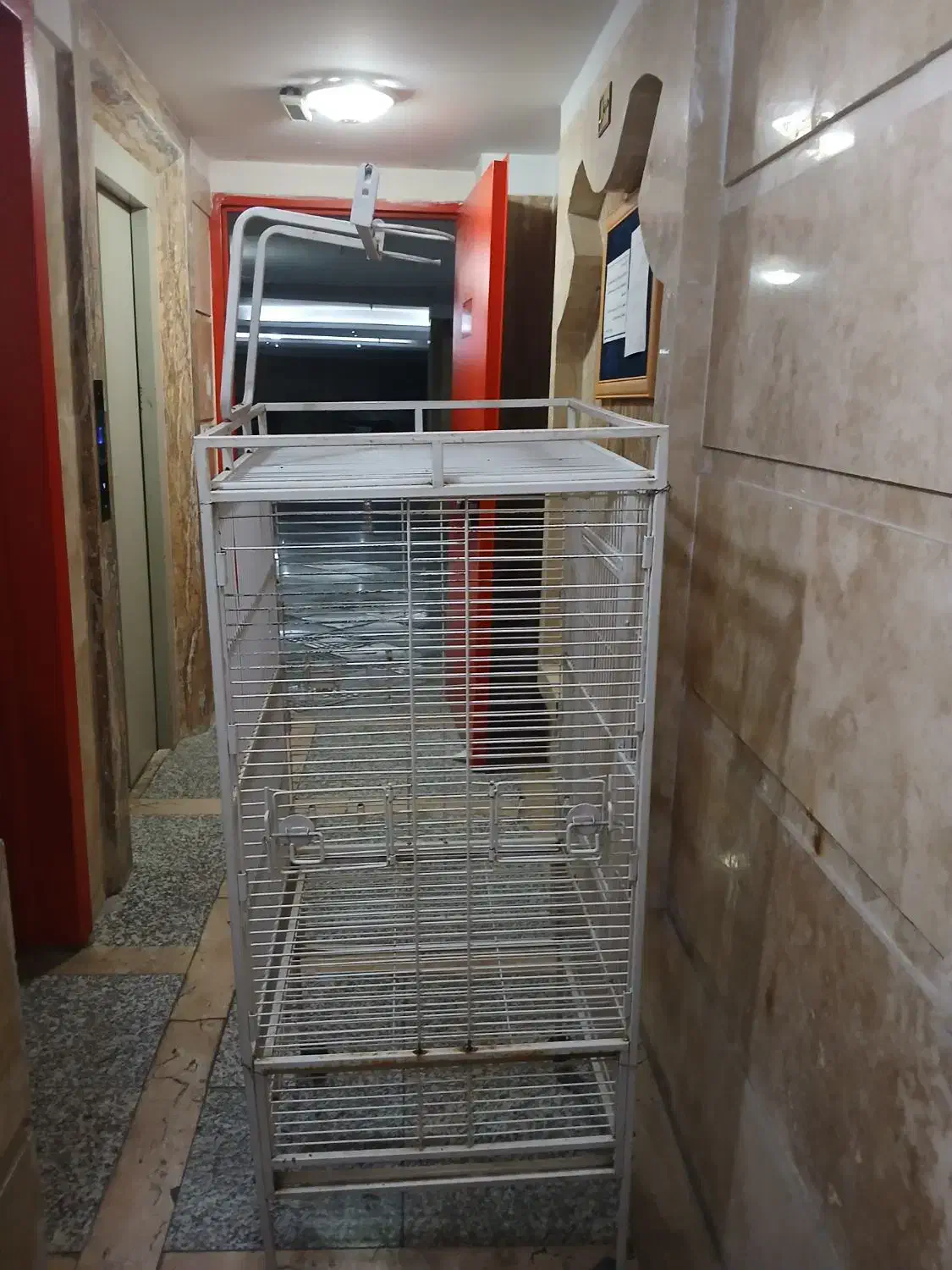 قفس پرنده طوطی عروس هلندی|لوازم جانبی حیوانات|تهران, شهرک آزمایش|دیوار