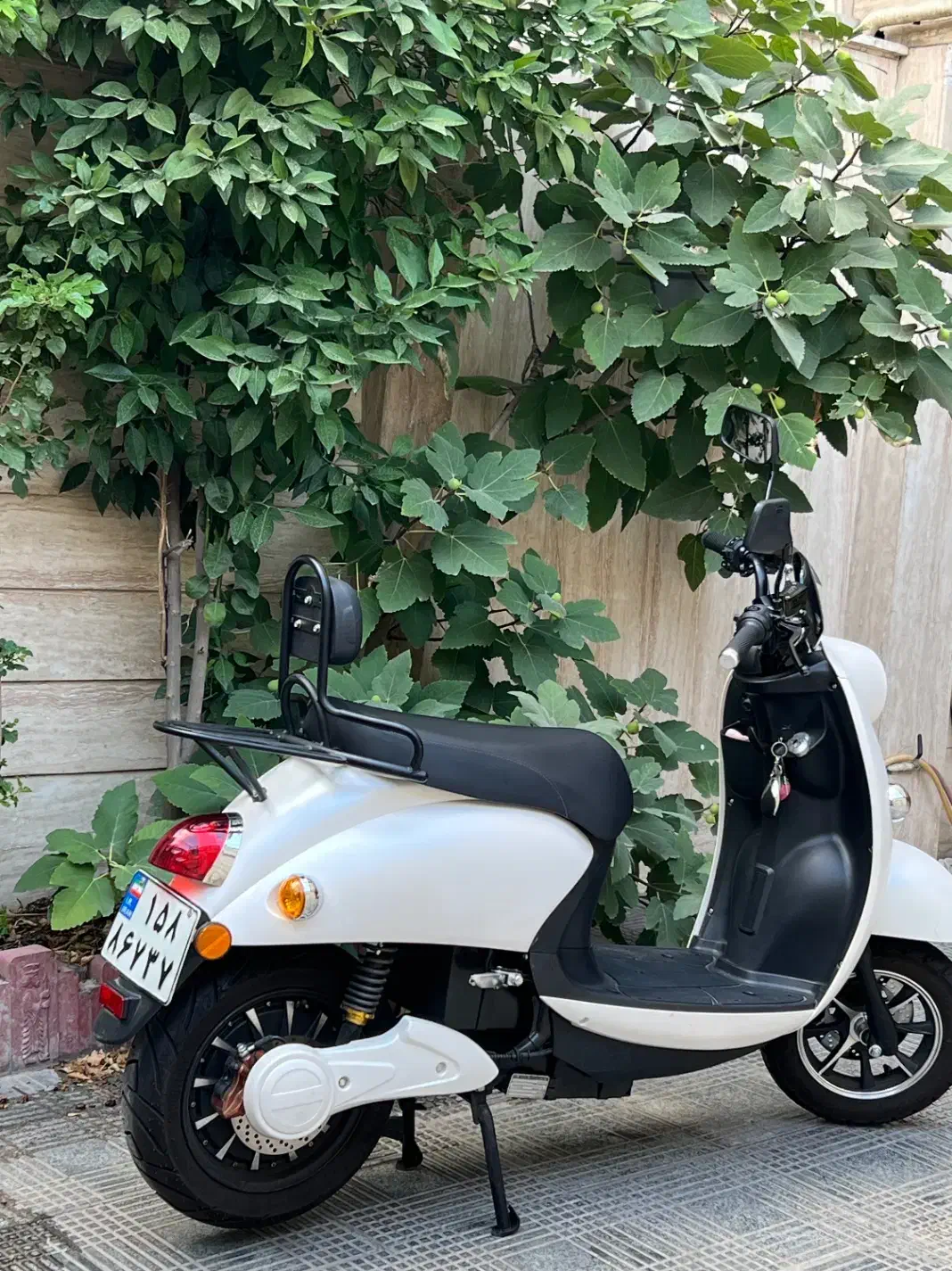 موتور برقی مادو دخترونه|موتورسیکلت|تهران, تهران‌نو|دیوار