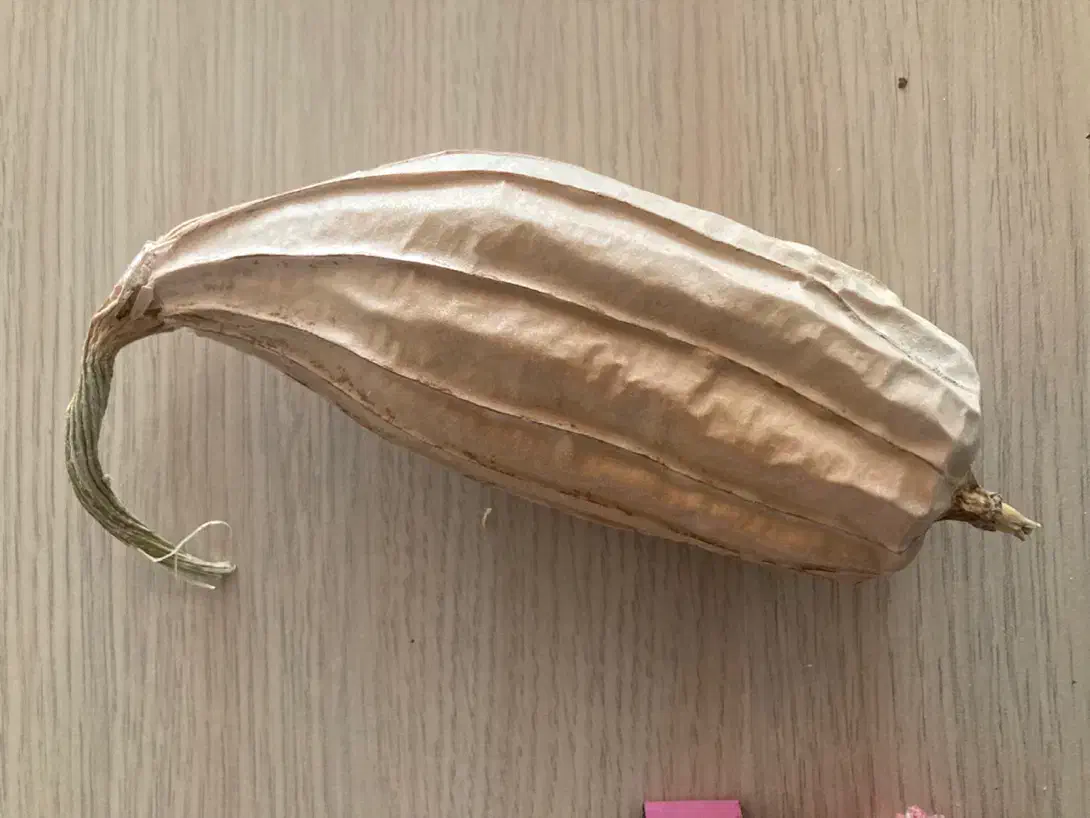 لیف گیاهی لوفا|لوازم حمام|آذرشهر, |دیوار