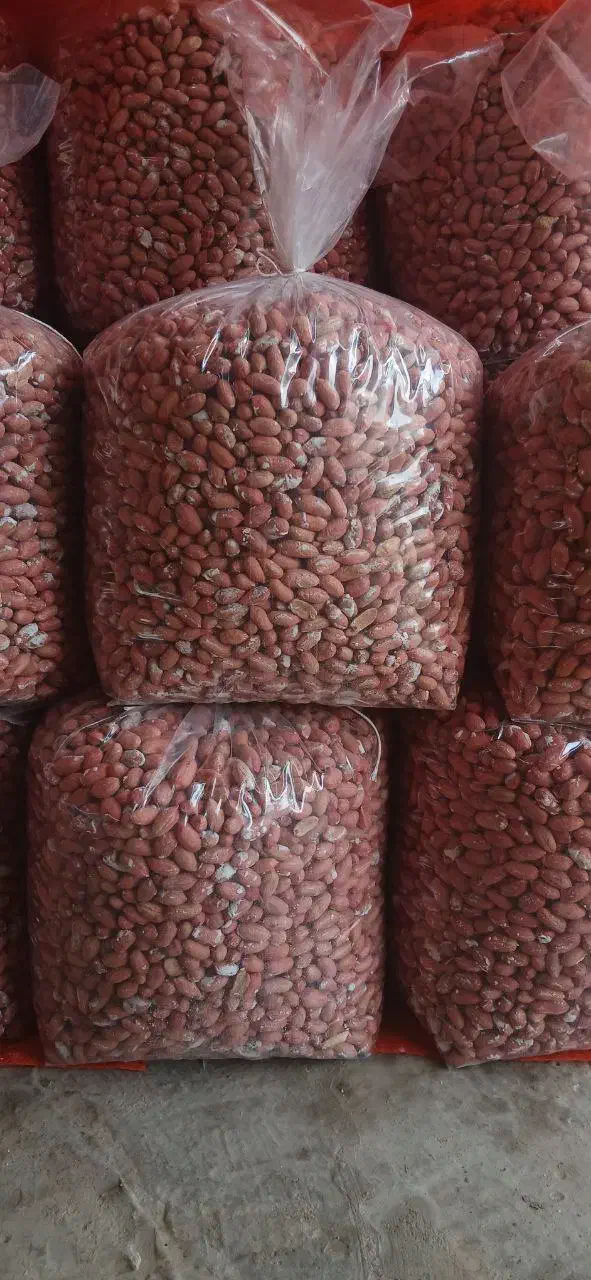 بادام زمینی مغان|خوردنی و آشامیدنی|تهران, ایرانشهر|دیوار