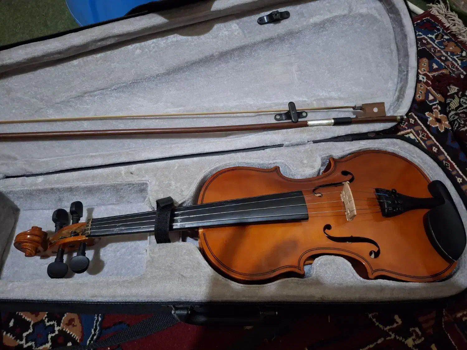 ویولون حرفه ای ، دست ساز|ویولن|اردبیل, |دیوار