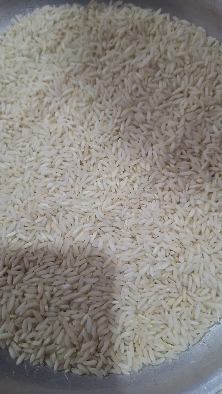 برنج ایرانی کاشت نوراباد درجه یک فوق اعلا|خوردنی و آشامیدنی|نورآباد, |دیوار