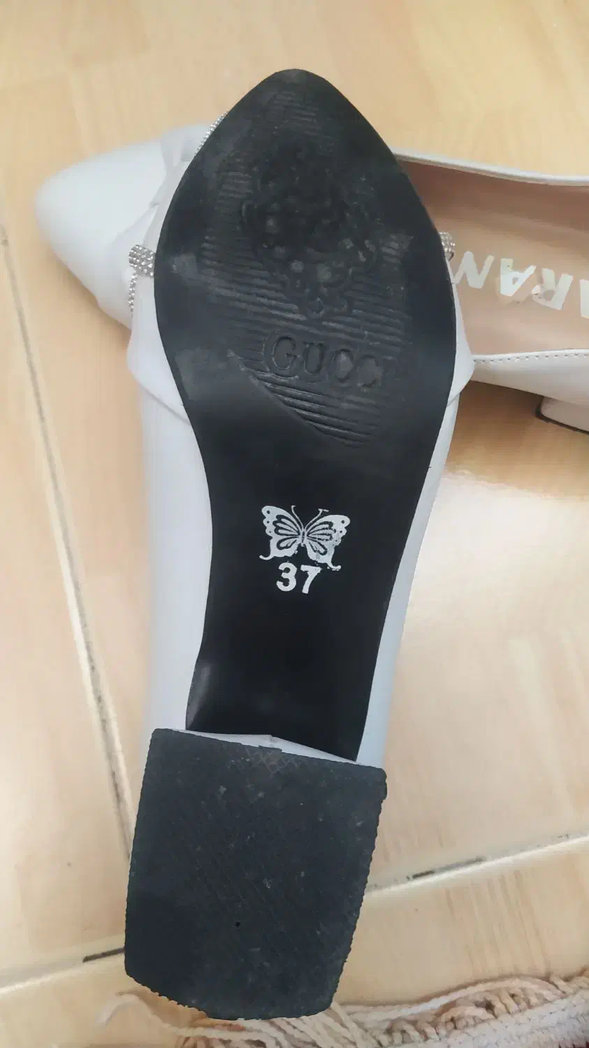 کفش مجلسی و کیف مجلسی|کیف، کفش، کمربند|تویسرکان, |دیوار