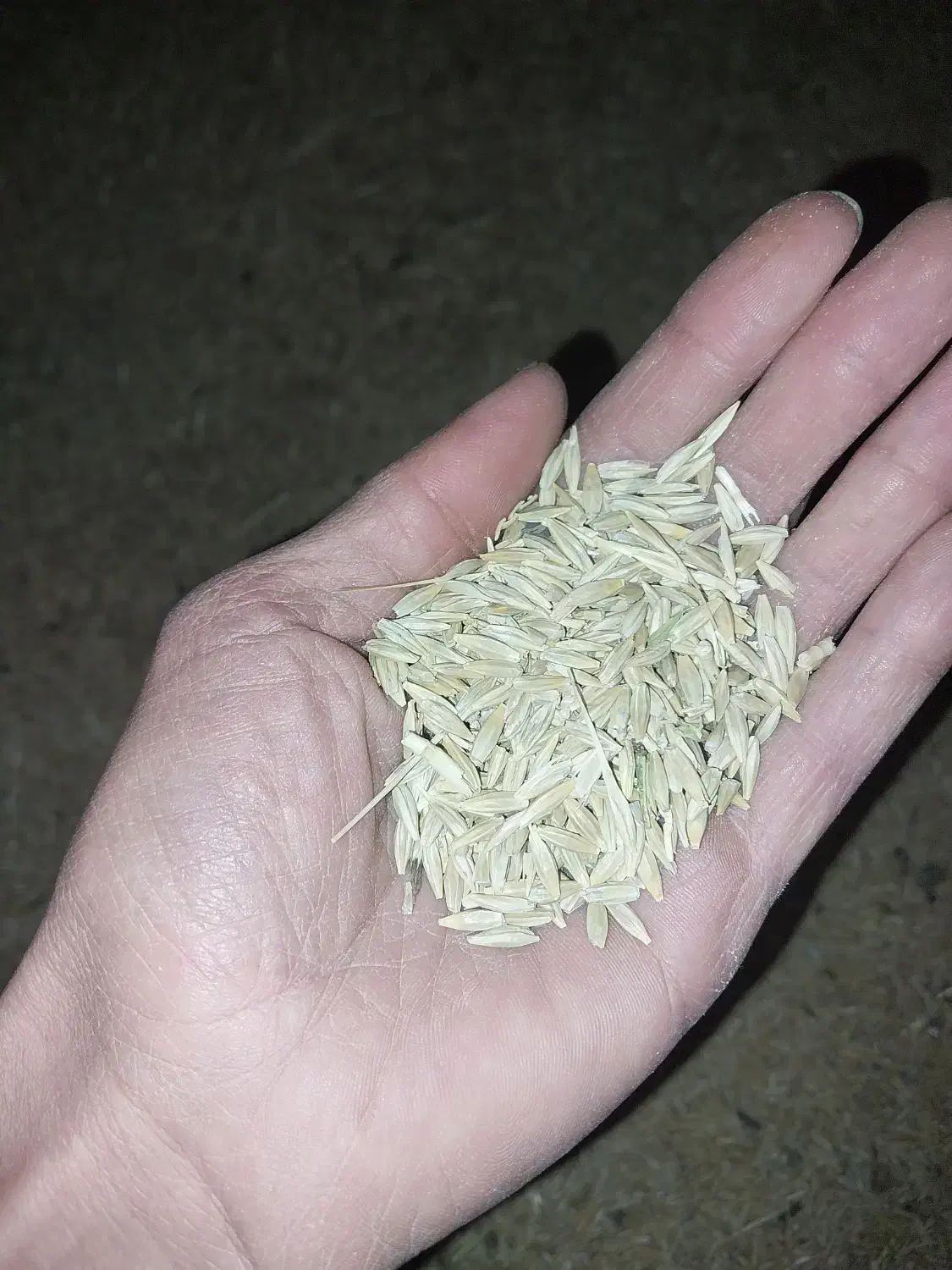 جودیم|خوردنی و آشامیدنی|فرمهین, |دیوار