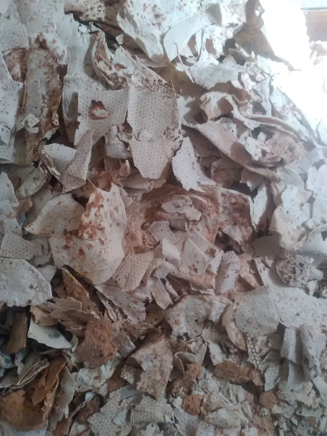 نان خوشک|لوازم جانبی حیوانات|اندیمشک, |دیوار