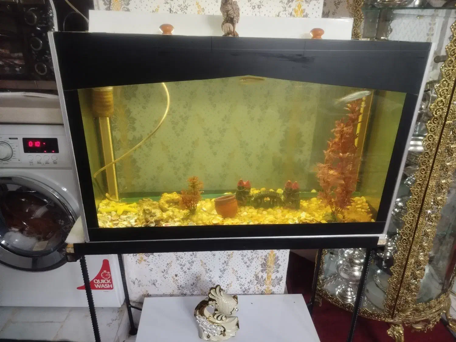 اک. وا. ر. ی. وم|ماهی|زنجان, |دیوار