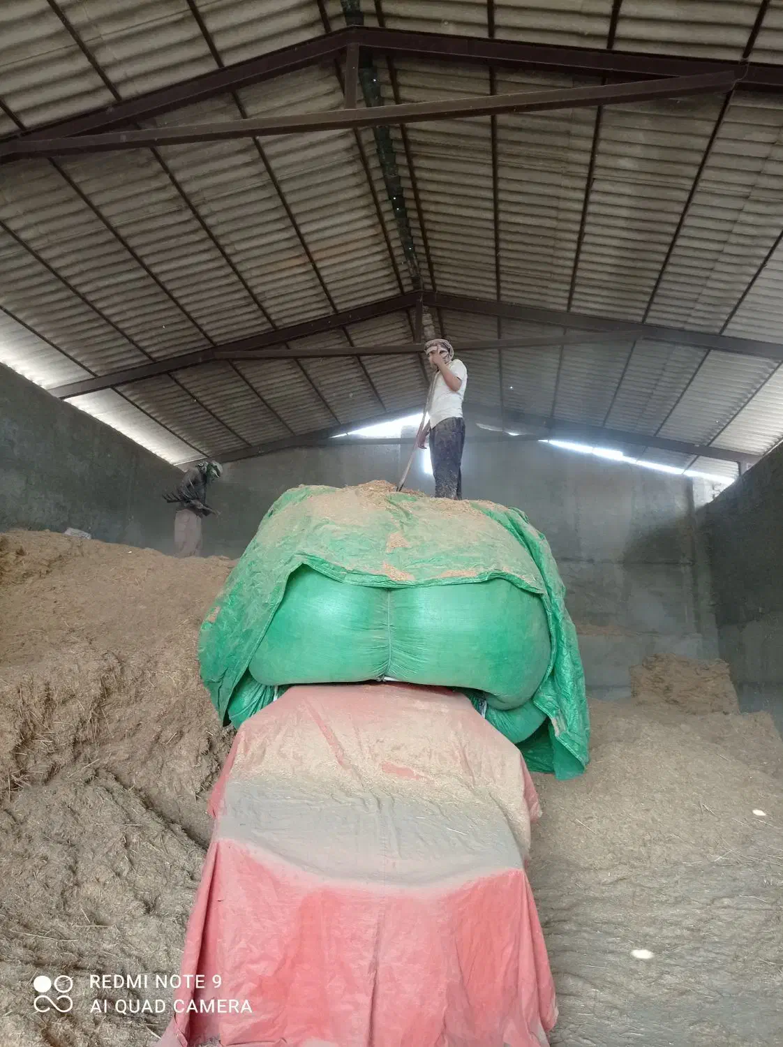 کاه گندم تحویل شیراز|لوازم جانبی حیوانات|شیراز, شهرک دارایی|دیوار