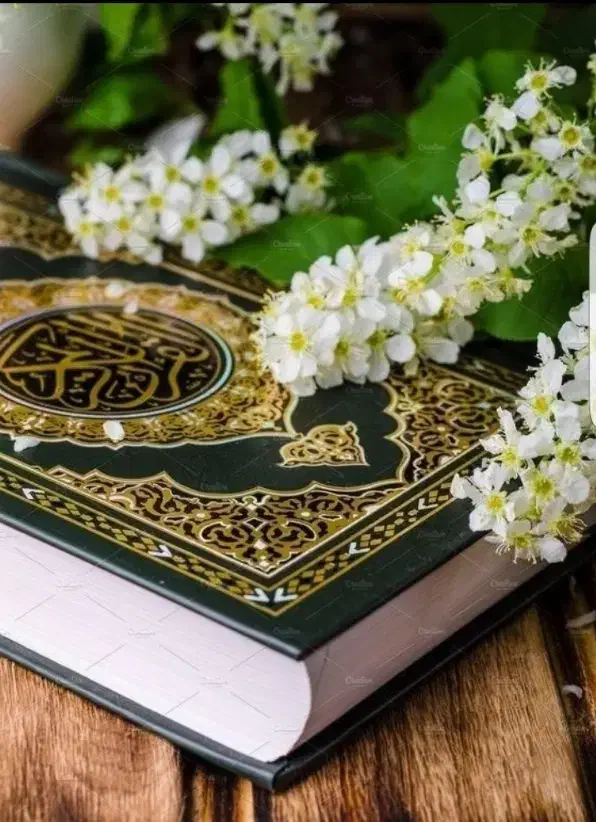 دعا ،سرکتاب ،قران|خدمات پذیرایی، مراسم|مشهد, شهرک امام هادی (شهرک غرب)|دیوار