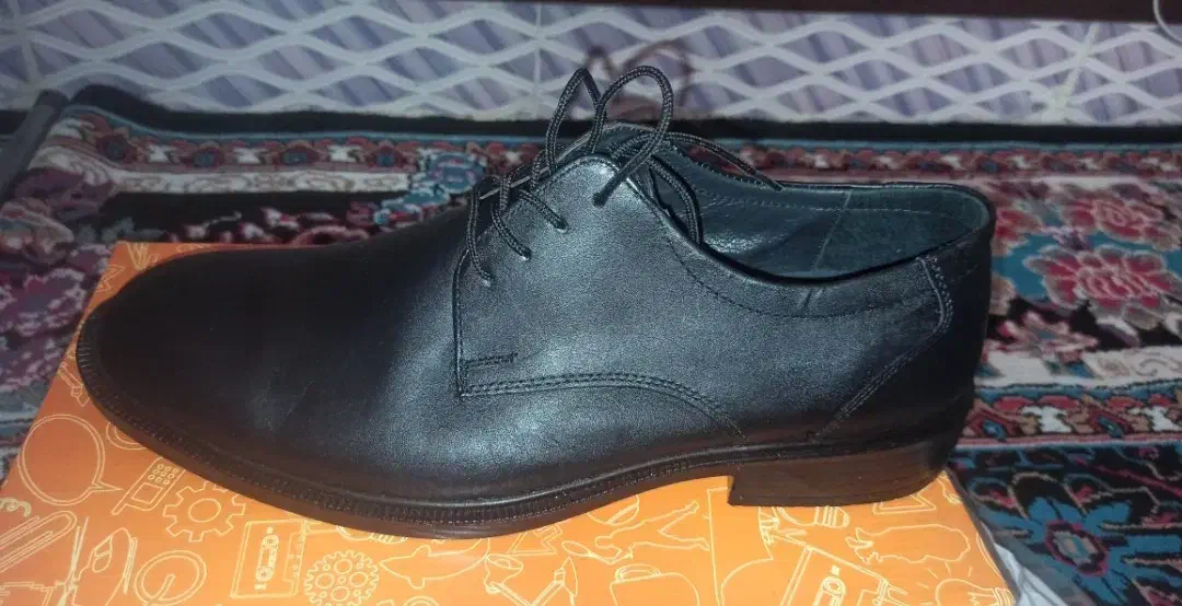 کفش مجلسی و اداری نو|کیف، کفش، کمربند|سوسنگرد, |دیوار