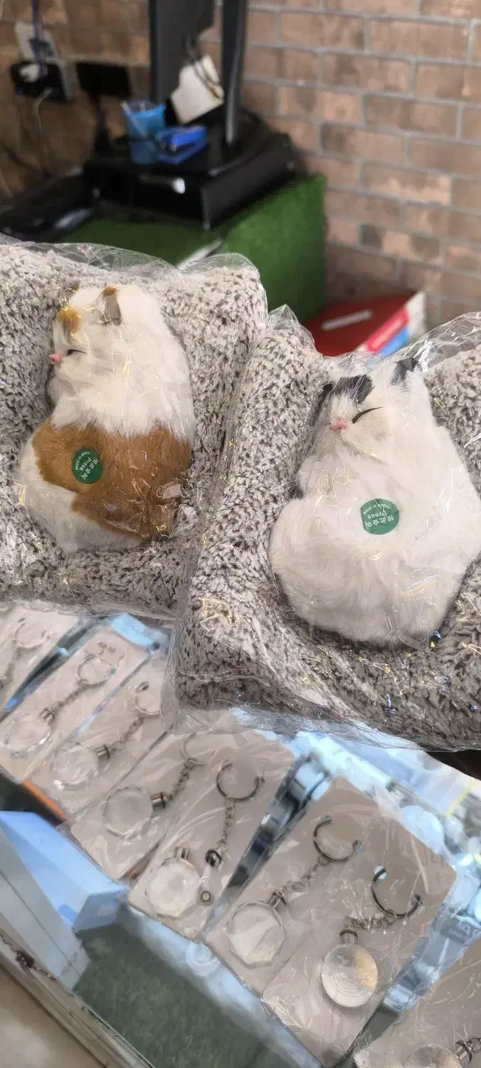 گوی همه مدل|اسباب‌‌بازی|قم, زنبیل آباد|دیوار