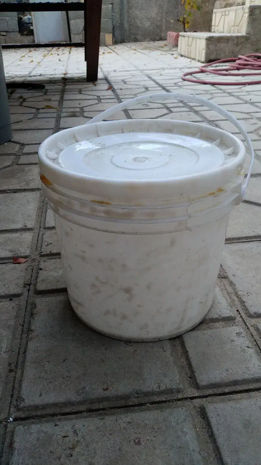 فروشی|ظروف نگهدارنده، پلاستیکی، یکبارمصرف|سیسخت, |دیوار