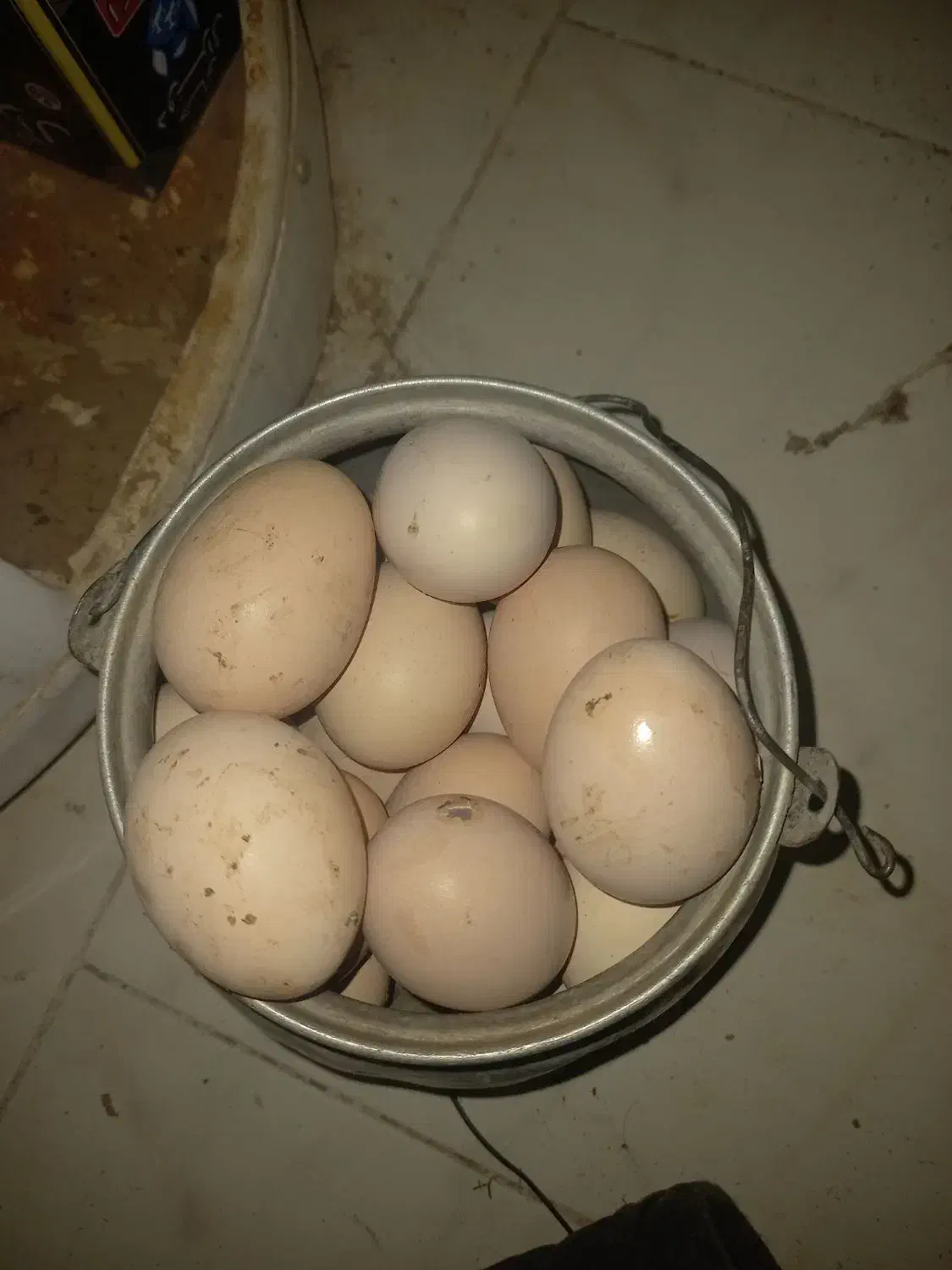 تخم مرغ محلی تفریجان|خوردنی و آشامیدنی|همدان, |دیوار