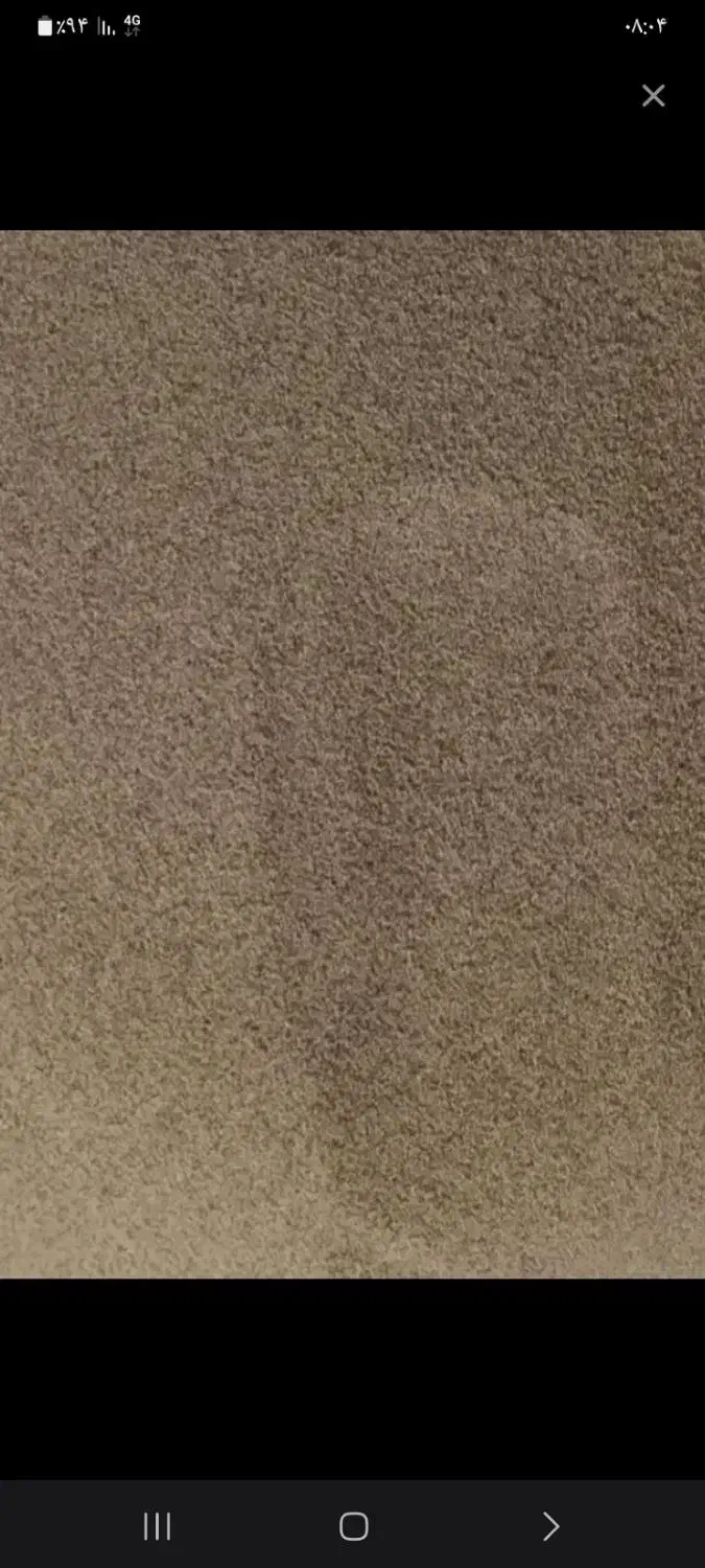 بذر درجه یک کیلوی 6۰۰|گل و گیاه طبیعی|کوهدشت, |دیوار