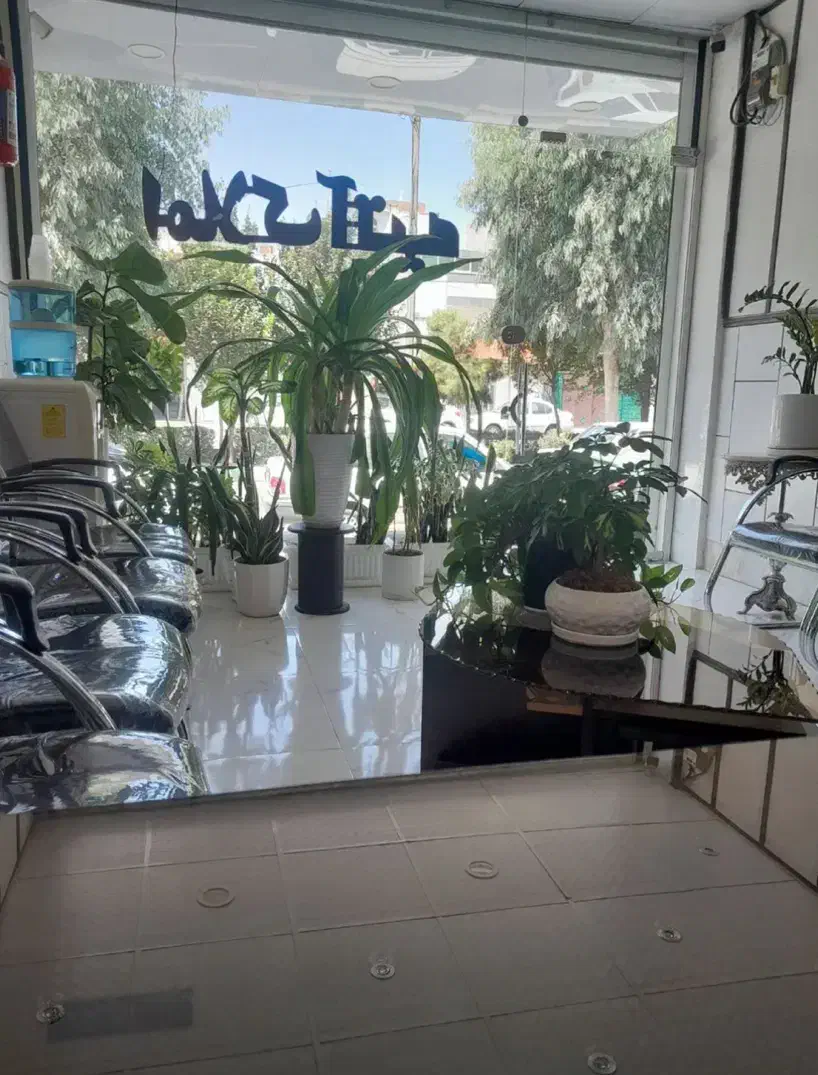 زیرزمین گلخانه‌ای تک‌خواب در بنیاد،خیابان آل یاسین|اجارهٔ آپارتمان|قم, بنیاد|دیوار