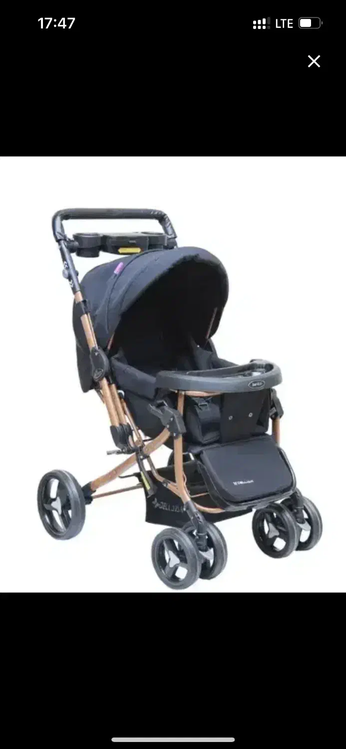 کالسکه دلیجان وکریر|کالسکه و لوازم جانبی|همدان, |دیوار