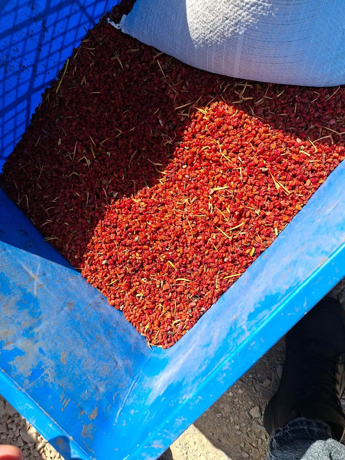 زرشک سرلیزری|خوردنی و آشامیدنی|قائن, |دیوار