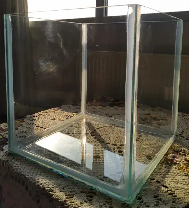 آکواریوم هشت میل|ماهی|بجنورد, |دیوار