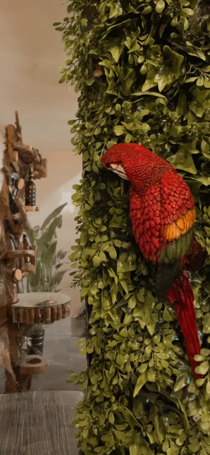 ۳ نفر خانم برای کافه شیفت شب ساعت ۲۰ الی ۲۴|استخدام خدمات فروشگاه و رستوران|اسلامشهر, شهرک احمدیه|دیوار