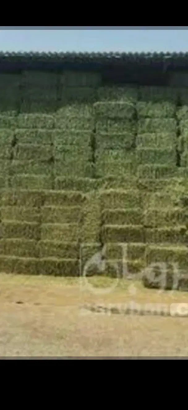 پرس یونجه|لوازم جانبی حیوانات|گلپایگان, |دیوار