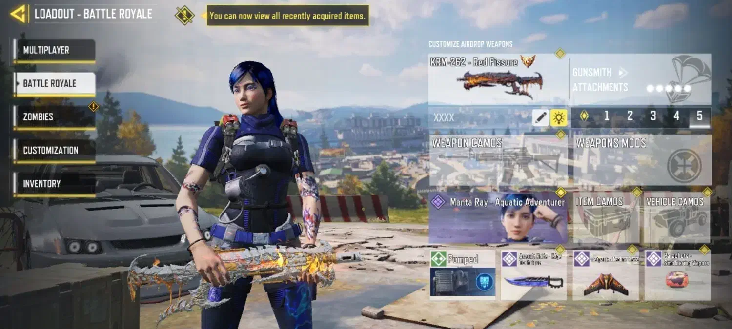 اکانت ندای وظیفه|کنسول، بازی ویدئویی و آنلاین|صدرا-فارس, فاز ۱|دیوار