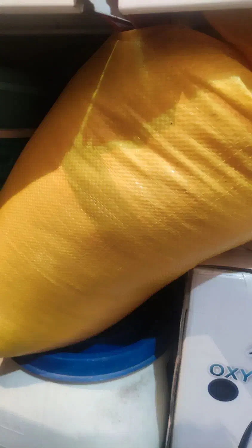 بذر شالی طارم هاشمی درجه یک|خدمات باغبانی و درختکاری|ساری, |دیوار