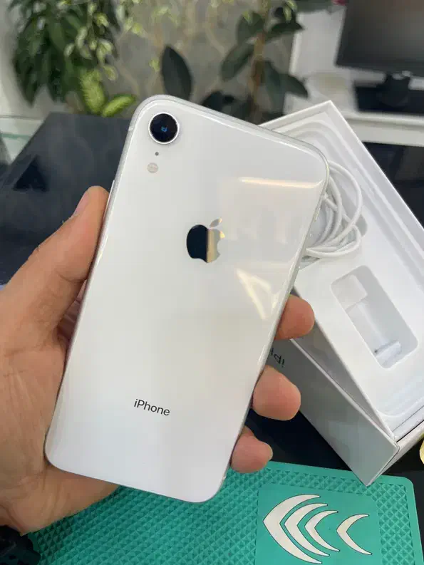 آیفون xr|موبایل|رشت, منظریه|دیوار