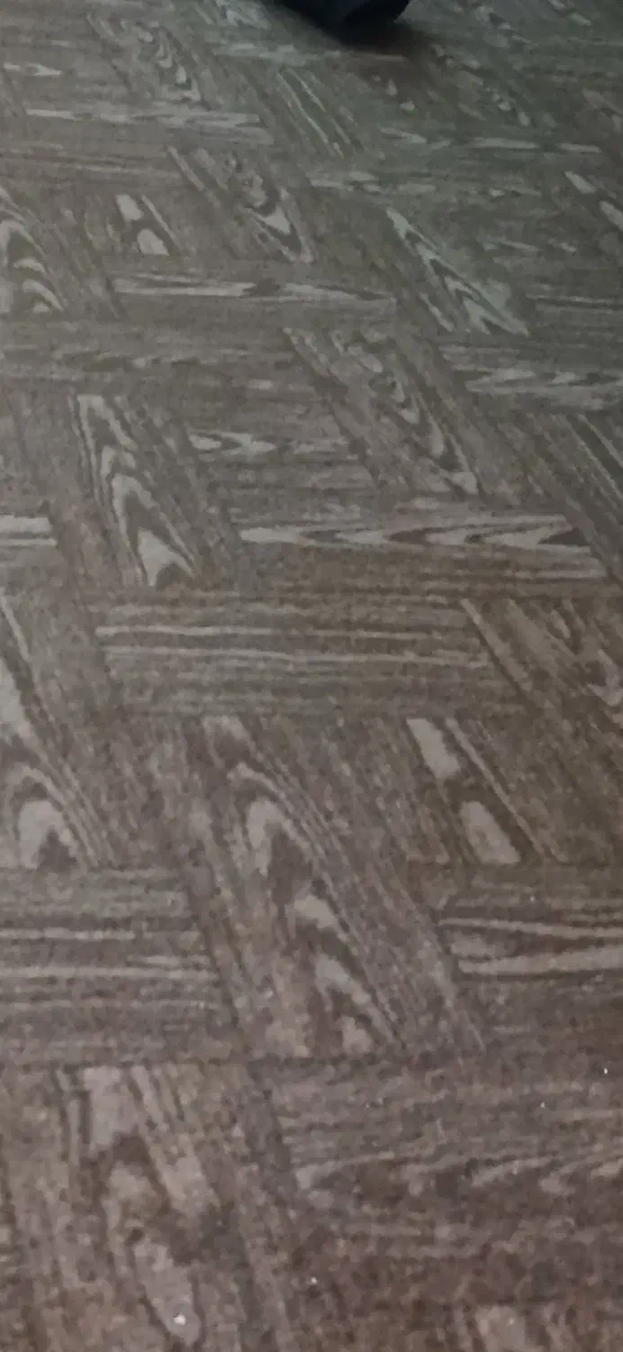 موکت درحدنو|موکت|خرمشهر, |دیوار