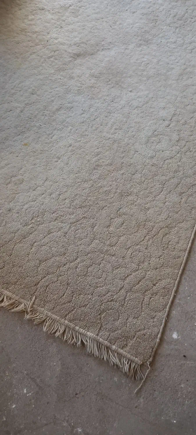 موکت|موکت|تربت جام, میان جام|دیوار