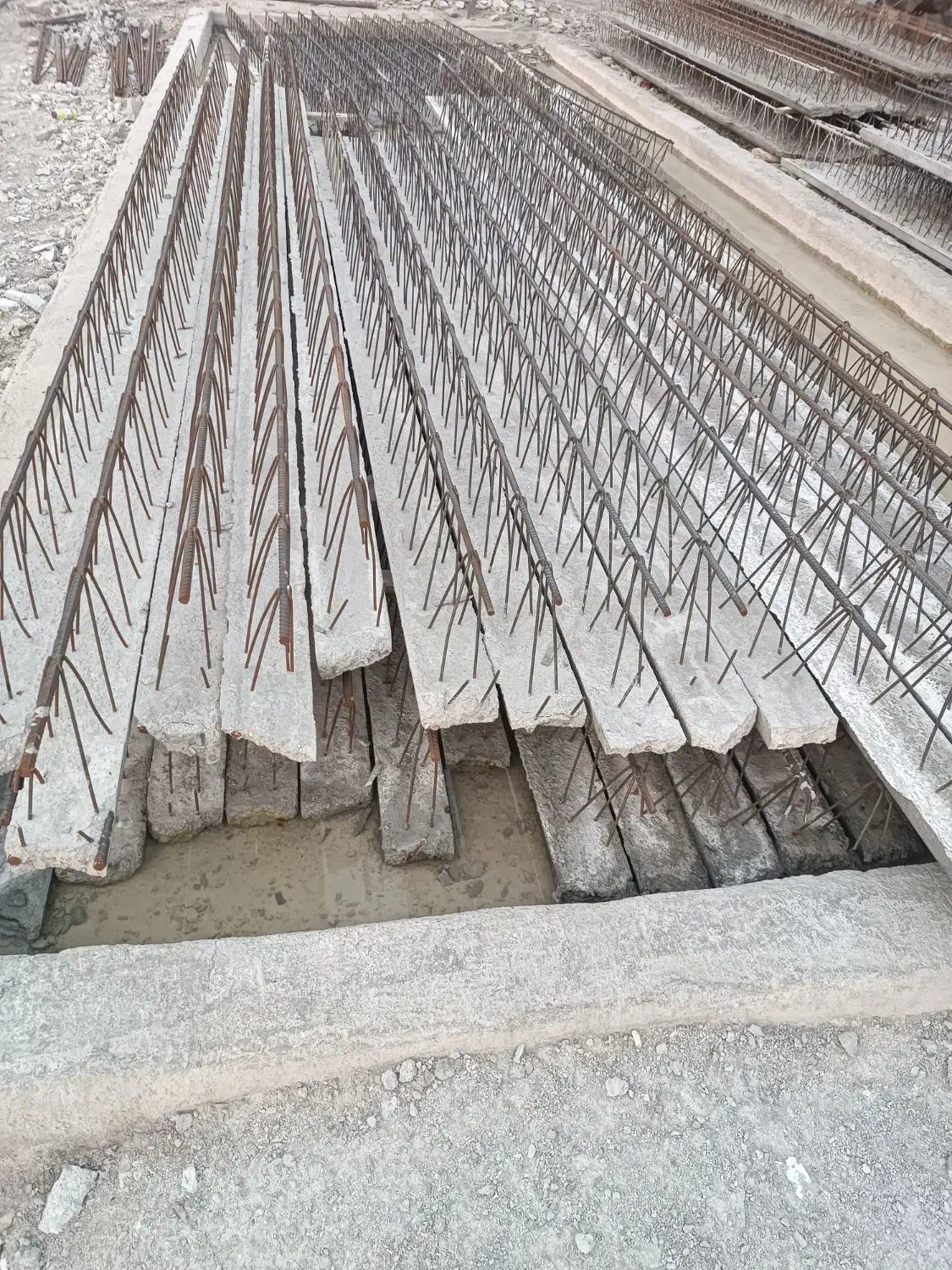 تولید انواع تیرچه و بلوک|خدمات پیشه و مهارت|بوشهر, |دیوار