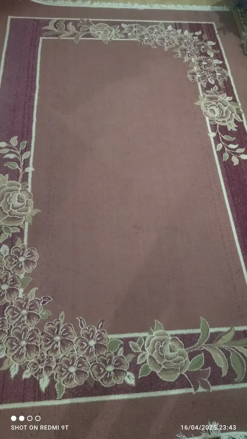 دو عدد فرش شش متری|فرش|گنبد کاووس, |دیوار