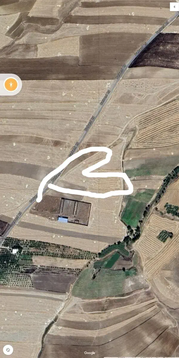 یک هکتار زمین دیم|فروش زمین و ملک کلنگی|کلیائی, |دیوار