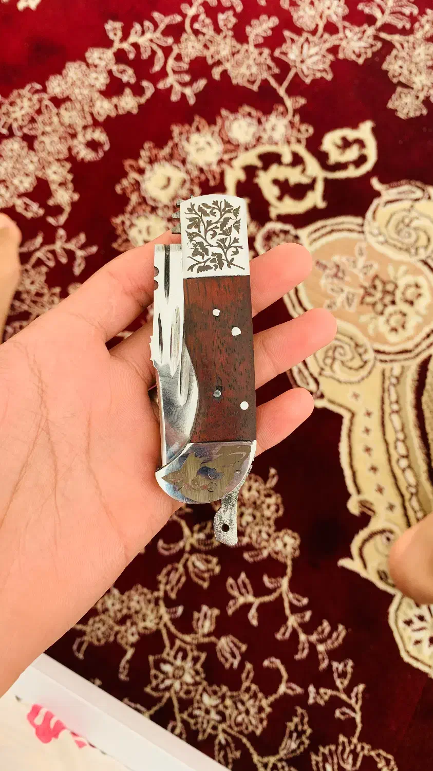 چا*قو دنده ای|کوهنوردی و کمپینگ|بردسکن, |دیوار