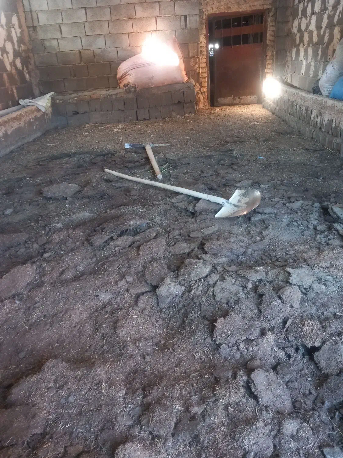 فروش کود|خدمات باغبانی و درختکاری|خانمیرزا, |دیوار