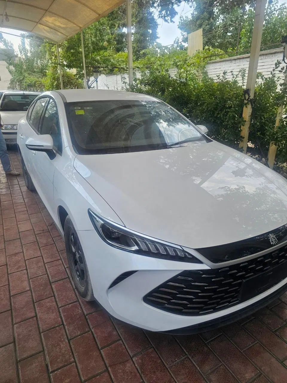 BYD QIN PLUS 55 2025|خودرو سواری و وانت|مشهد, سجاد شهر|دیوار