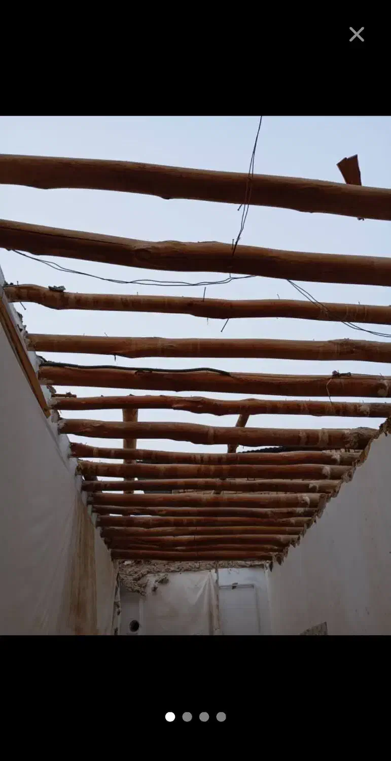 خرید انواع چوب درختان خشک و چوب سقفی|خدمات باغبانی و درختکاری|زنجان, |دیوار