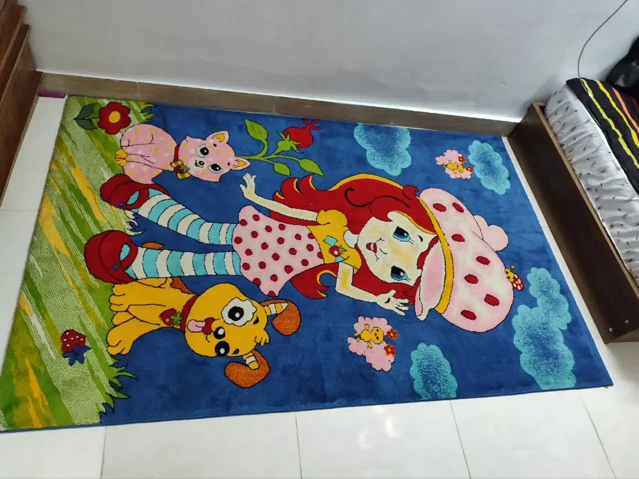 فرش بچگانه و فرش ماشینی ۹متری|فرش|اصفهان, رکن الدوله غربی|دیوار