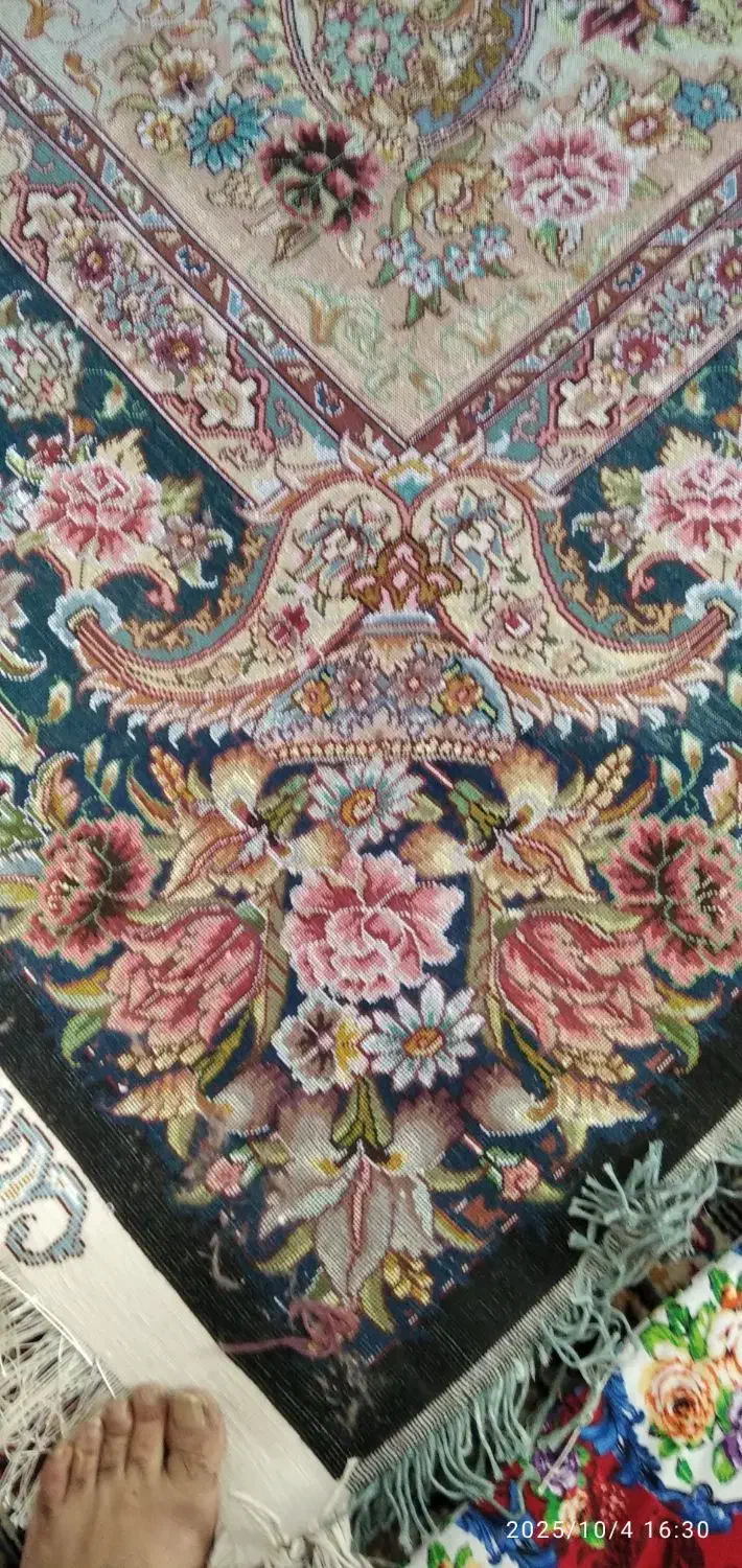 فرش سالاری 9متر|فرش|اسکو, |دیوار