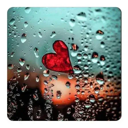 راهنمایی کنید مسکن مهر مجردها|فعالیت داوطلبانه|کرمانشاه, |دیوار