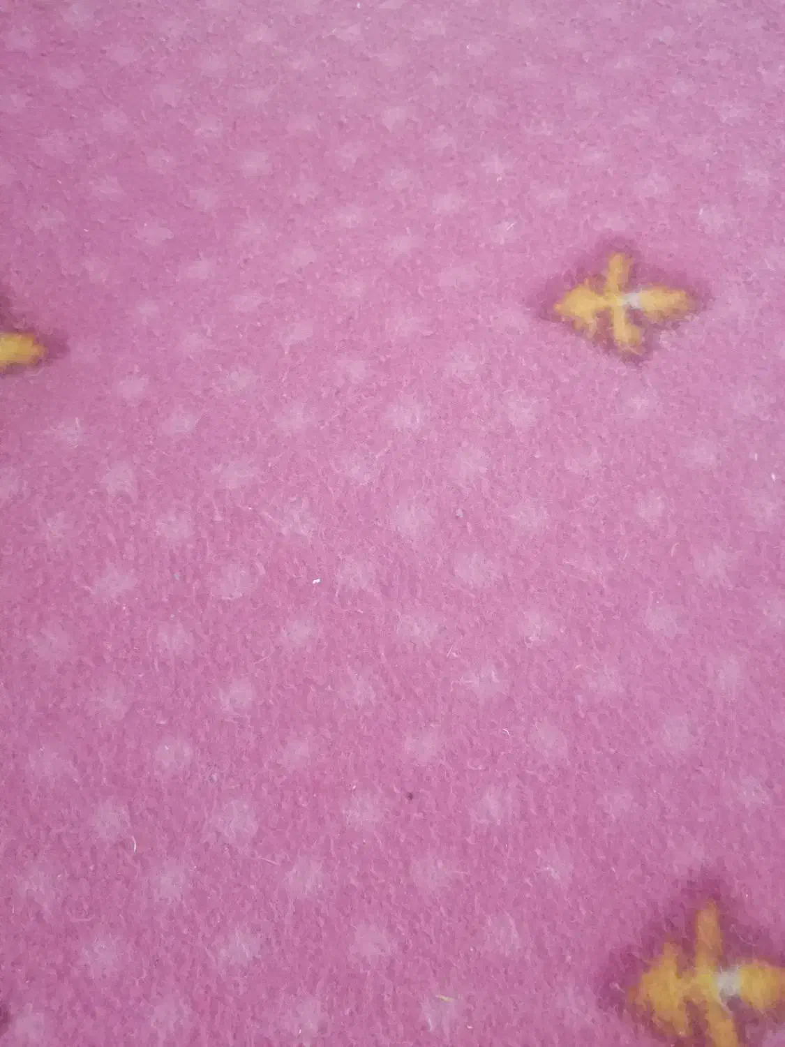 موکت ۱۲متری|موکت|قم, قلعه کامکار|دیوار