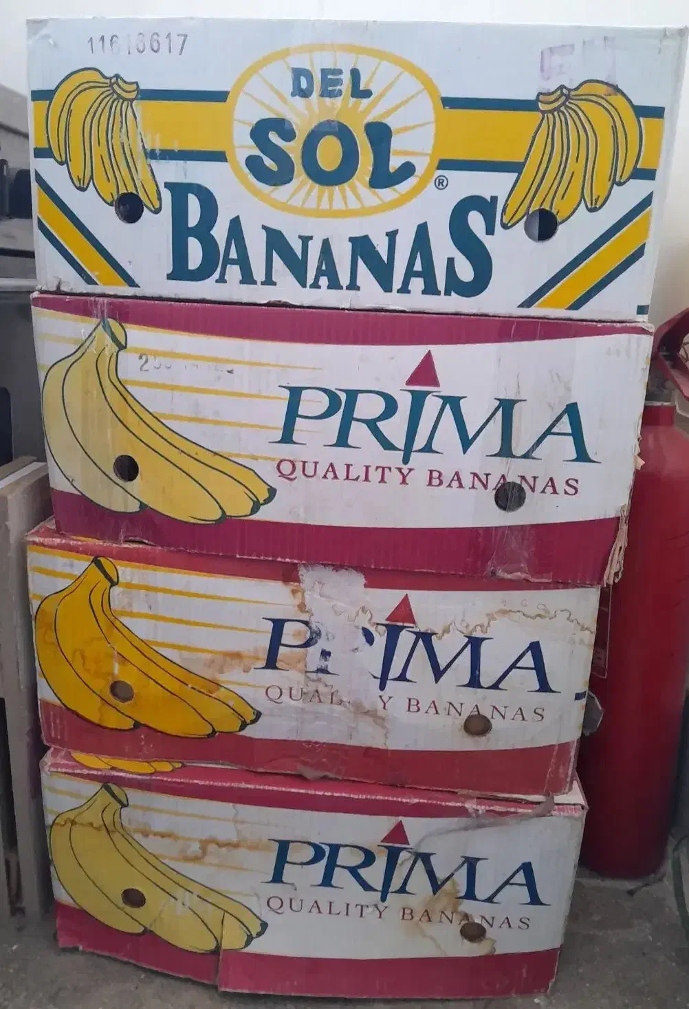 کارتن موزی|حراج|گلبهار, شهر جدید گلبهار|دیوار