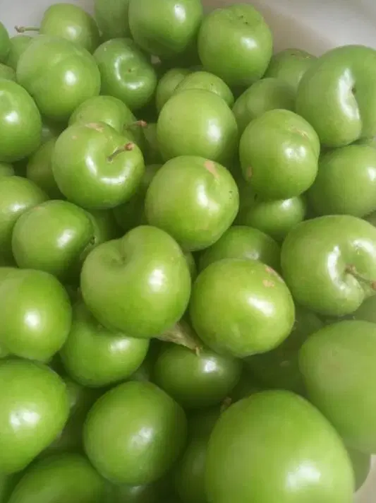 گوجه سبز|خوردنی و آشامیدنی|شیراز, مهدی‌آباد|دیوار